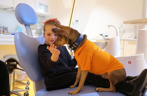 Die sechsjährige Mira im Behandlungsstuhl beim Zahnarzt – Therapiehund Peppi nimmt ihr die Angst. Foto: Steve Przybilla