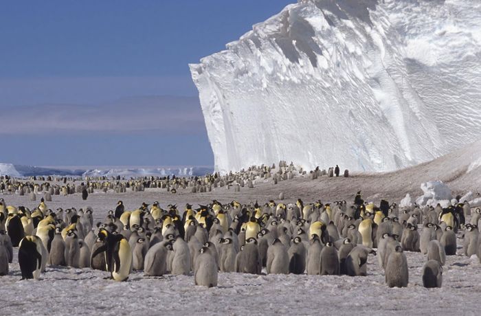 Antarktis und das Weltklima: Eine tickende Zeitbombe