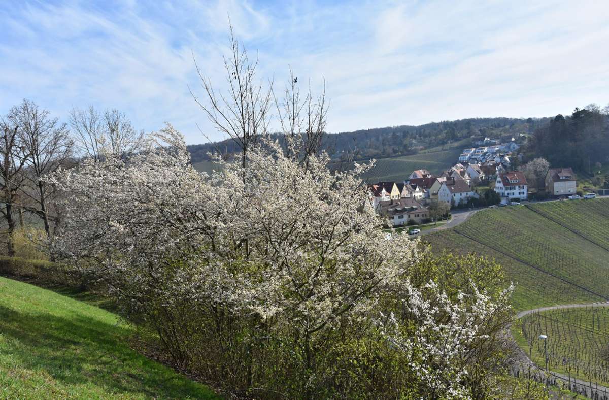 Frühling in Rotenberg