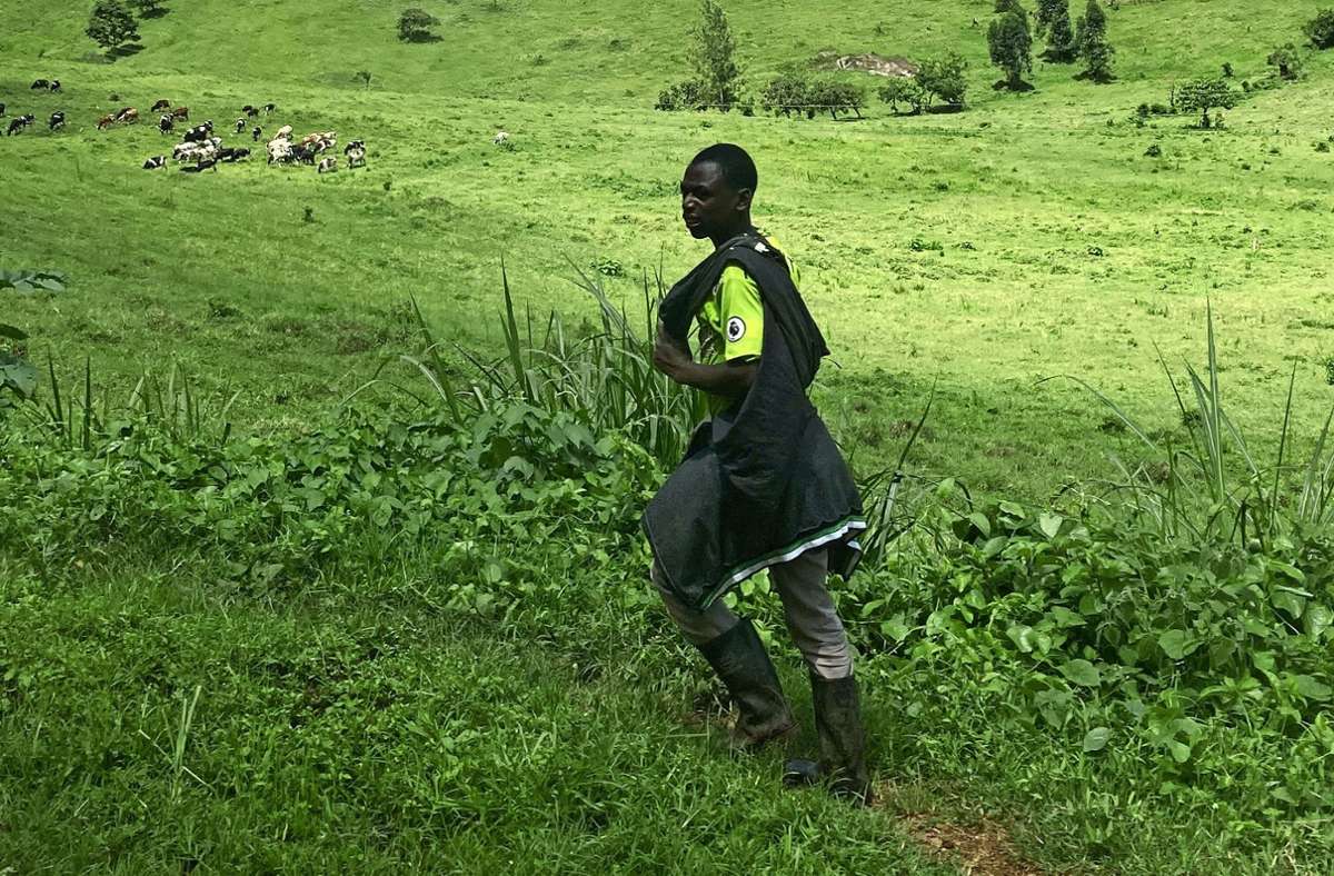 Uganda in Bildern: Blick durch die Autoscheibe
