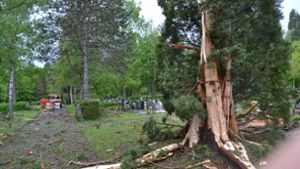 Unwetter im Kreis Böblingen:  Schule evakuiert und Friedhof verwüstet: Blitzschlag in Schule und auf dem Friedhof