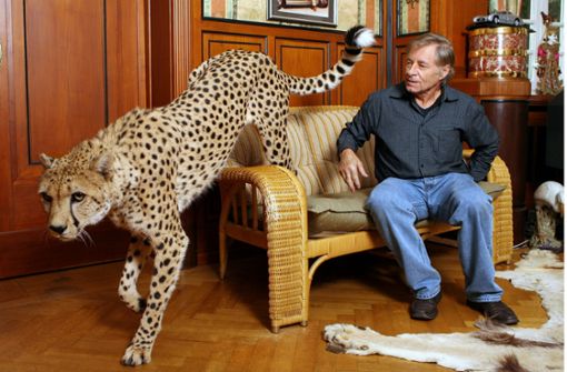 Oft liegen seine Geparden neben Hans-Peter Gaupp auf dem Sofa, während er im TV Fußball sieht. Foto: dpa/Bernd Weißbrod
