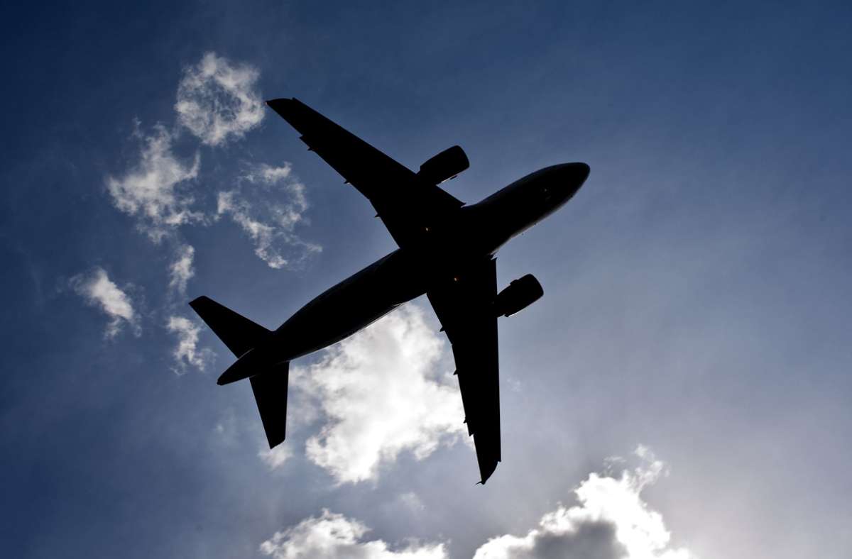 Coronakrise: Australier chartern Flugzeug um ihre Haustiere zurückzuholen