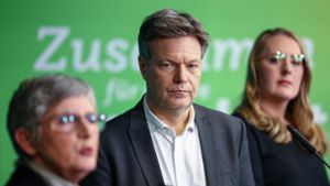 Grünen-Klausur: Links träumen, unter Schmerzen regieren