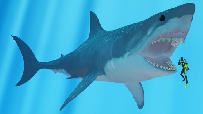 Was wir über den Urzeit-Hai Megalodon wissen