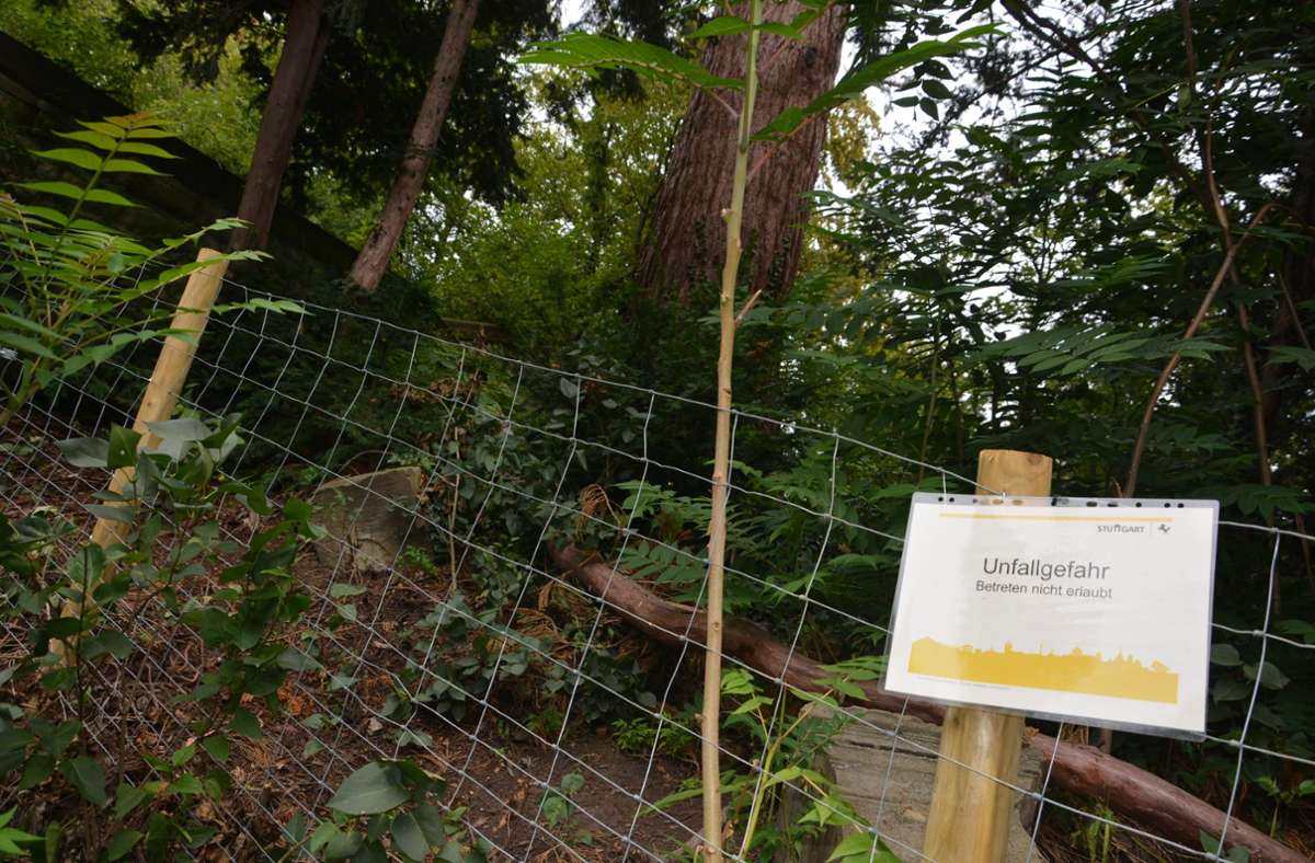 Aus Sicherheitsgründen sind Teile des Leibfriedschen Gartens abgesperrt.