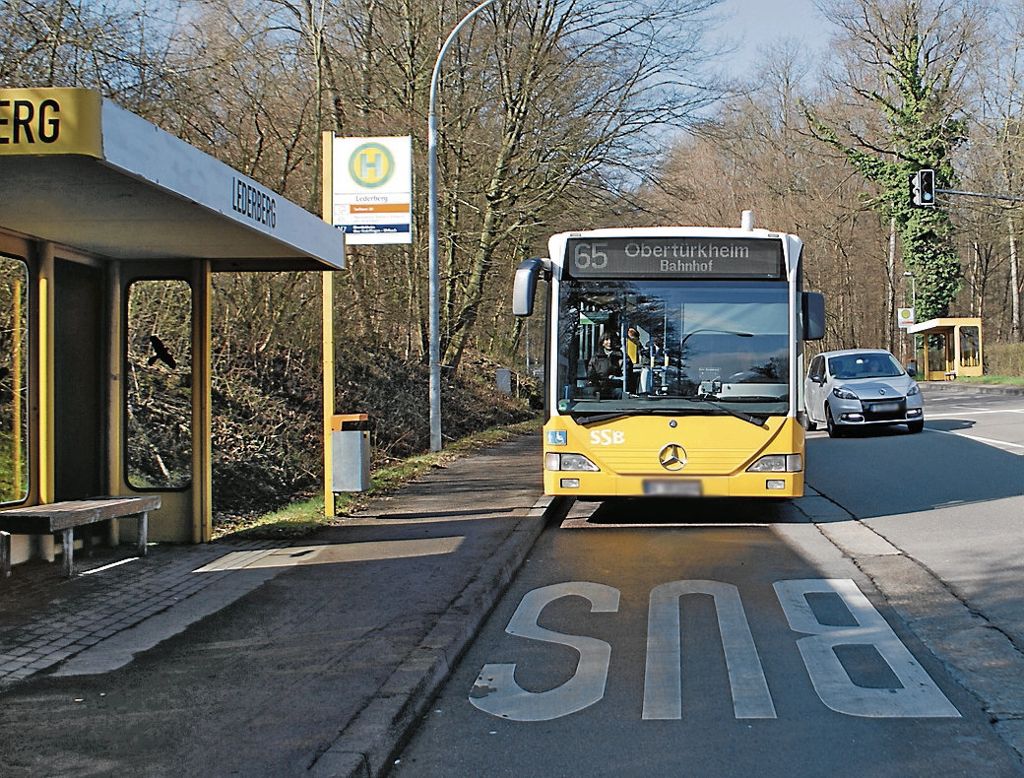 Entlang der Bushaltestelle „Lederberg“ soll in der Heumadener Straße eine knapp 300 Meter lange Busspur eingerichtet werden. Fotos: Kuhn